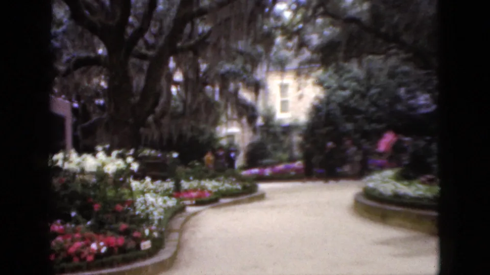 1952 Florida 8mm frame of a garden walkway bordered by flowers and shrubs, with distant visitors near a light-colored building.