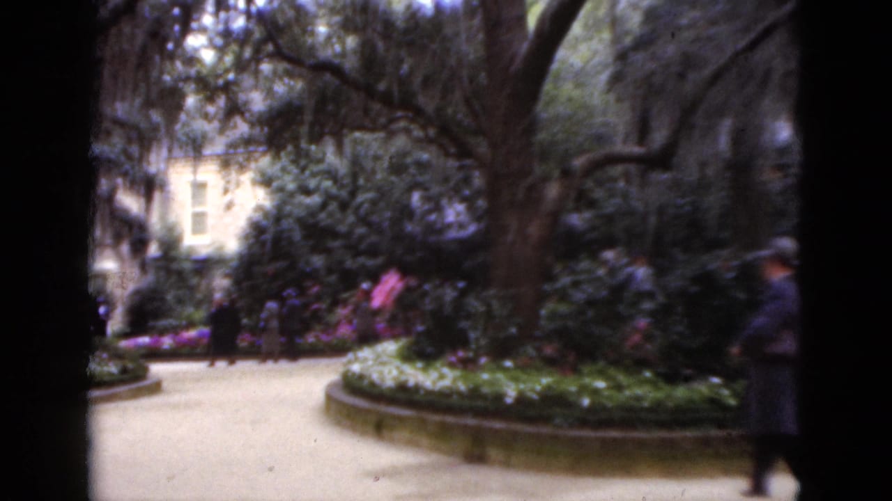 1952 Florida 8mm frame of adults in coats on a curving garden walkway with shrubs, flowers, and moss-draped trees.