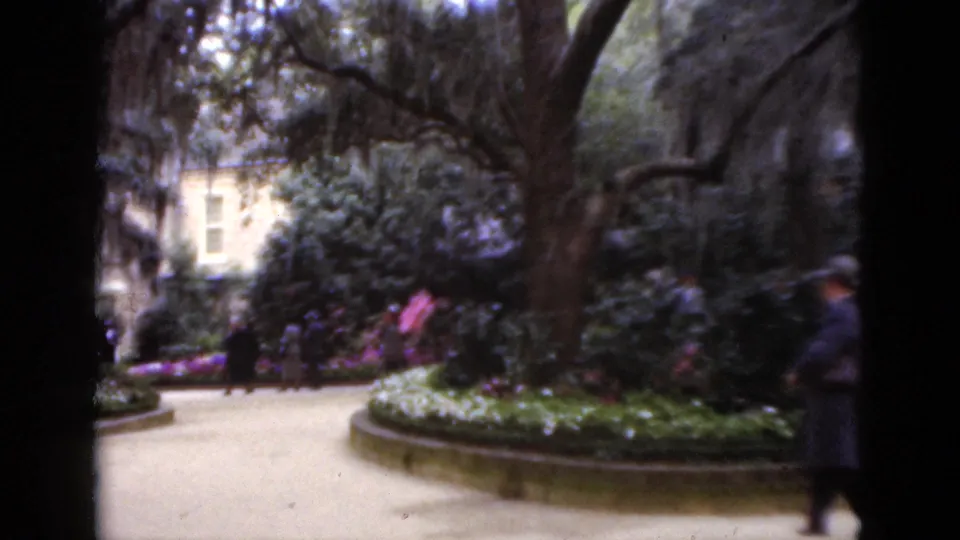 1952 Florida 8mm frame of adults in coats on a curving garden walkway with shrubs, flowers, and moss-draped trees.