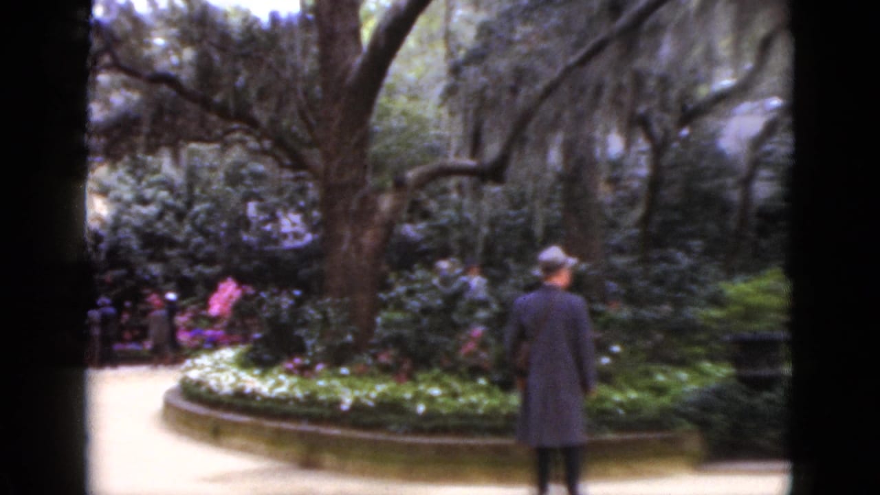 1952 Florida garden scene with a man in a hat and overcoat facing planted beds and trees along a walkway.