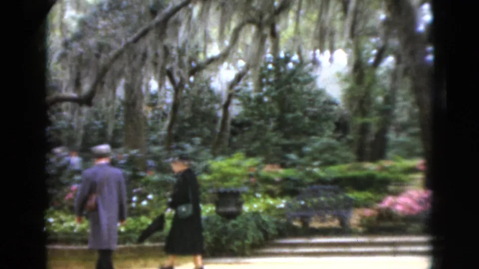1952 Florida 8mm frame showing two adults walking by steps and flower beds beneath moss-draped trees.