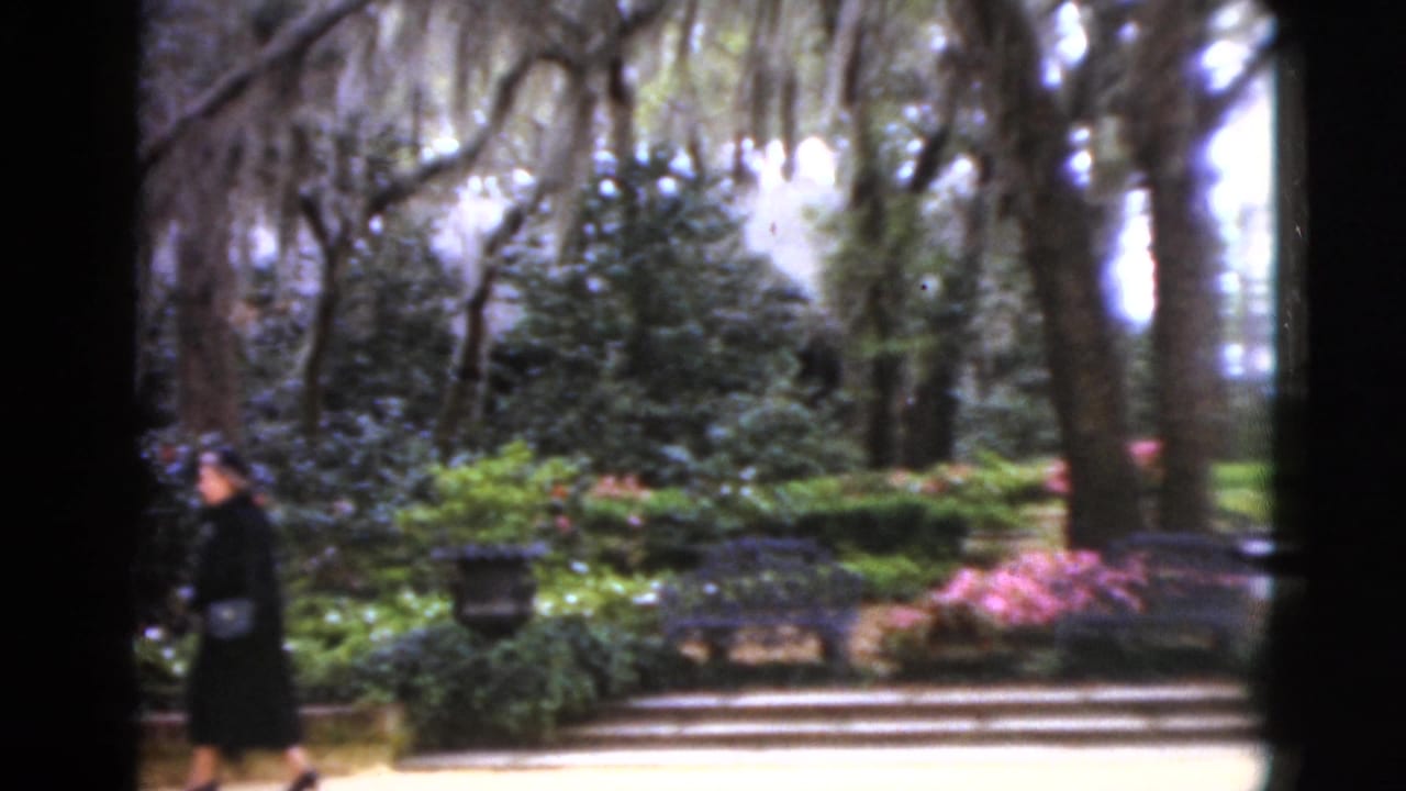 1952 Florida 8mm frame showing a lush formal garden with Spanish moss, pink blooms, benches, and a distant adult walking through the scene.