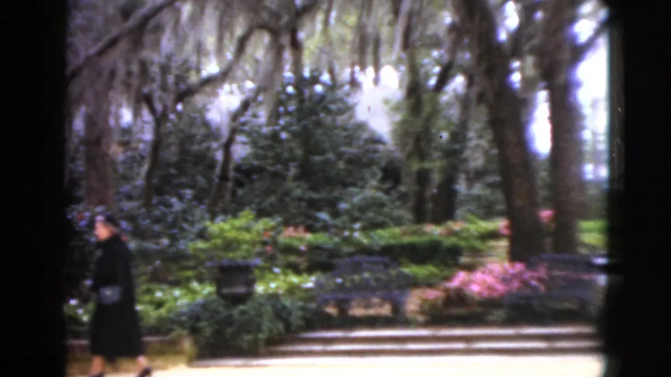 1952 Florida 8mm frame showing a lush formal garden with Spanish moss, pink blooms, benches, and a distant adult walking through the scene.