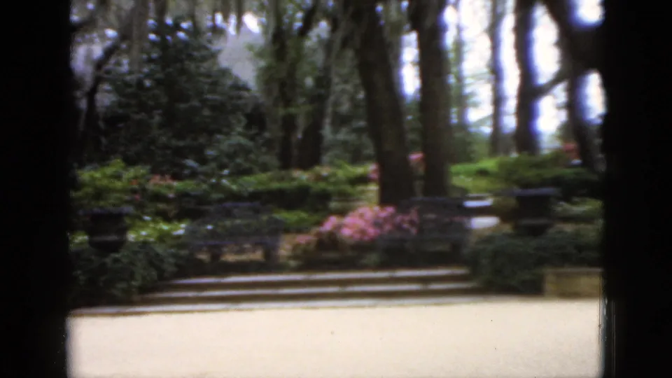 A blurred 1952 Florida home-movie frame of a landscaped garden with mossy trees, formal steps, benches, and flowering shrubs.