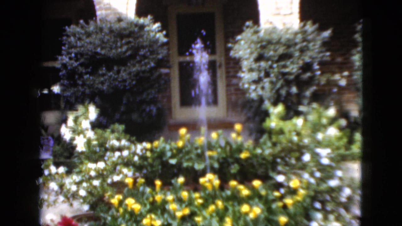 Garden bed with yellow and white flowers around a small fountain in front of a brick house.