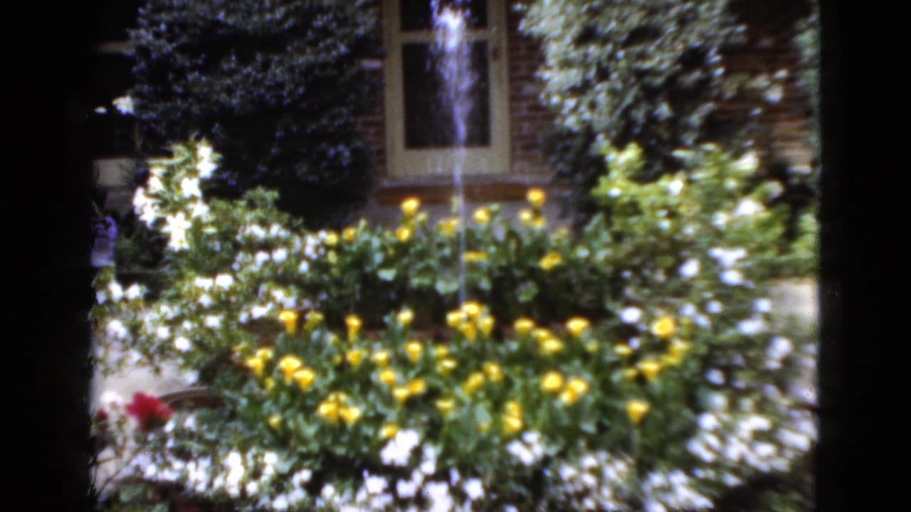 Flower bed and fountain seen from a slightly shifted angle, with shrubs and a house window behind.