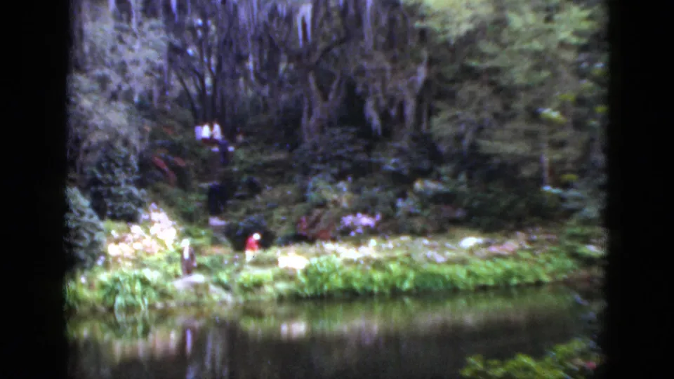 1952 Florida garden pond view with dense trees, water reflections, and distant people on the far bank.