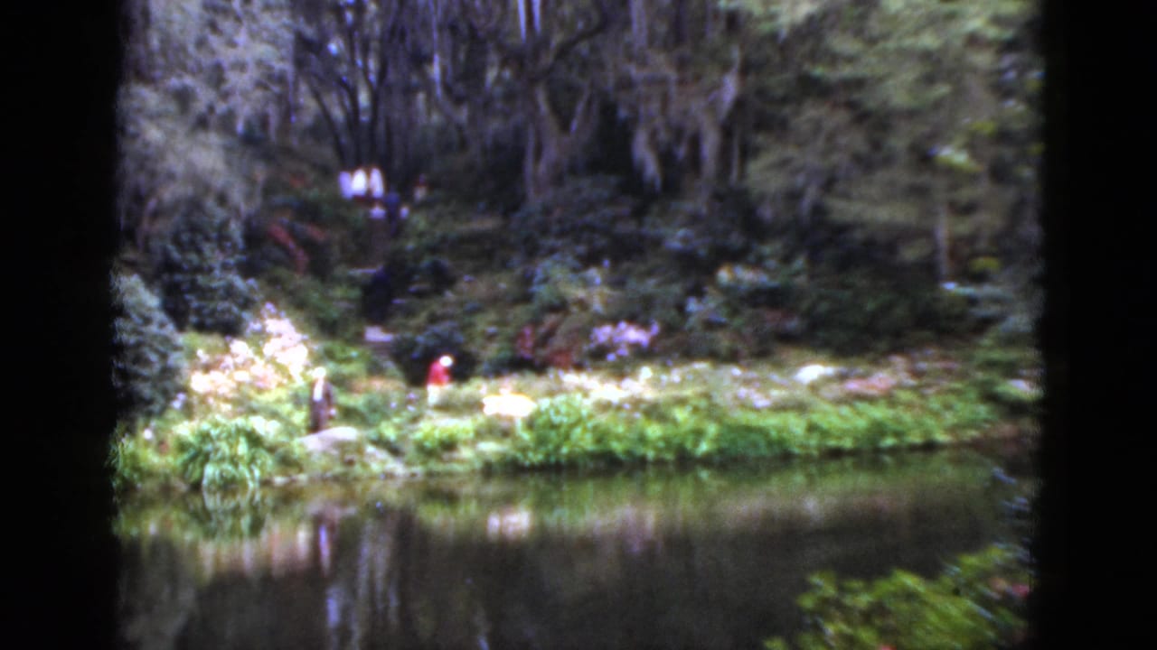 1952 Florida 8mm frame showing a landscaped lagoon edge with flowering plants, mossy trees, and a distant visitor in red.