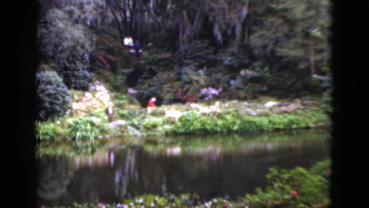 1952 Florida home-movie frame looking across still water toward a lush garden bank and a distant person in red.