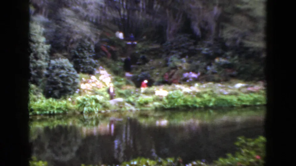1952 Florida 8mm frame with a lagoon foreground, bright plantings, trees, and small visitors on the opposite bank.