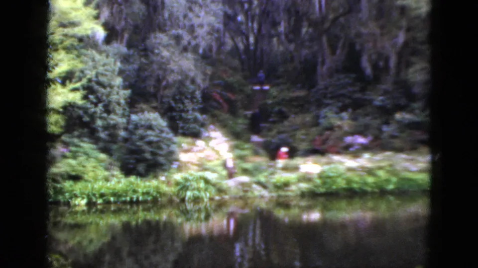 1952 Florida color 8mm frame showing a garden lagoon, reflected greenery, mossy trees, and a distant red-shirted visitor.