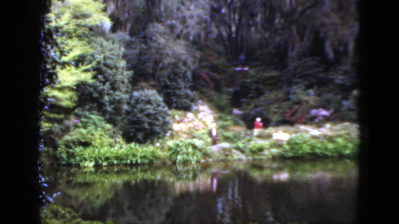 Garden pond bordered by greenery and distant visitors beneath mossy trees.