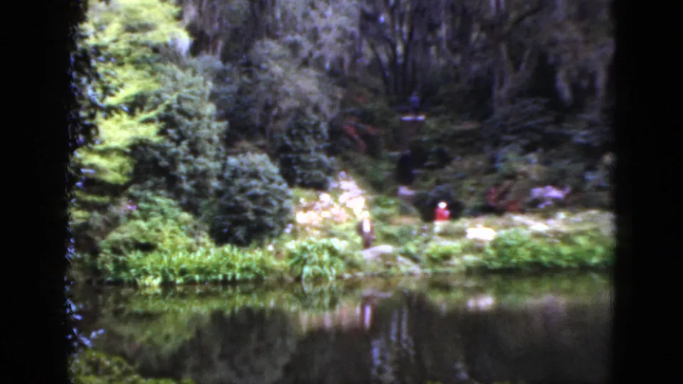 1952 Florida home-movie view of a garden pond with dense shrubs, flowering plants, mossy trees, and small distant visitors.