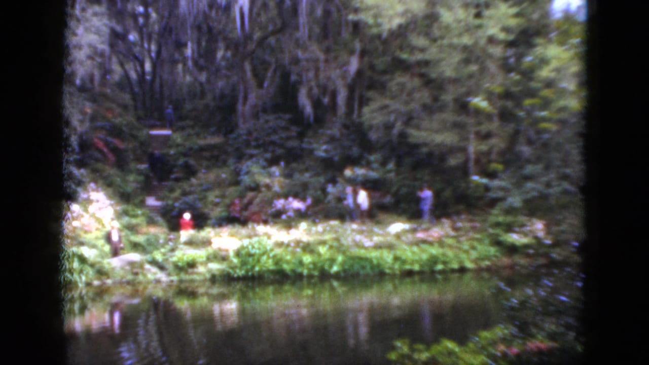 Pond and garden foliage with several visitors scattered along the far bank.
