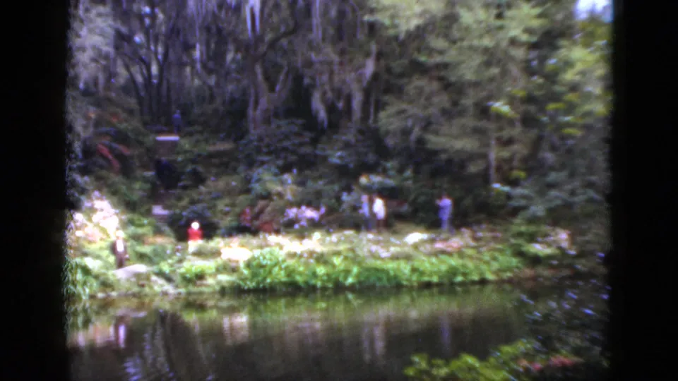 1952 Florida garden scene with a pond, lush planting, hanging moss, and visitors walking or standing in the distance.
