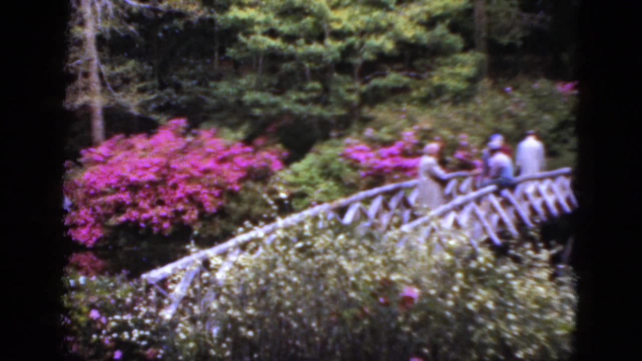 1952 Florida home-movie frame of adult visitors on a white garden bridge surrounded by pink azaleas and dense greenery.