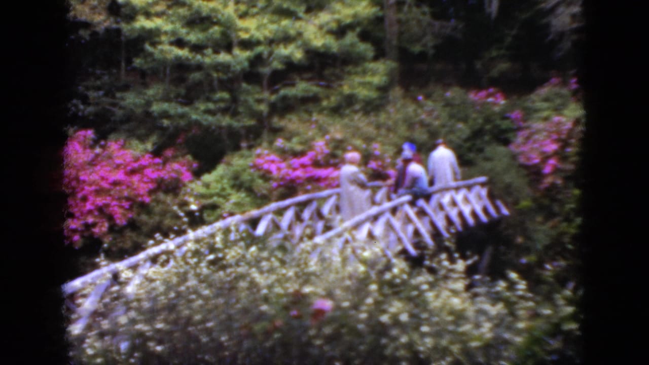 Adult visitors appear on a white wooden bridge in a Florida garden, with bright pink shrubs and wooded greenery behind them.