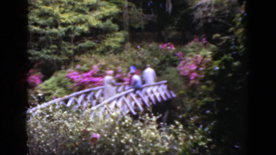 1950s visitors in light clothing stand along a white wooden bridge, partly softened by 8mm focus and saturated garden color.