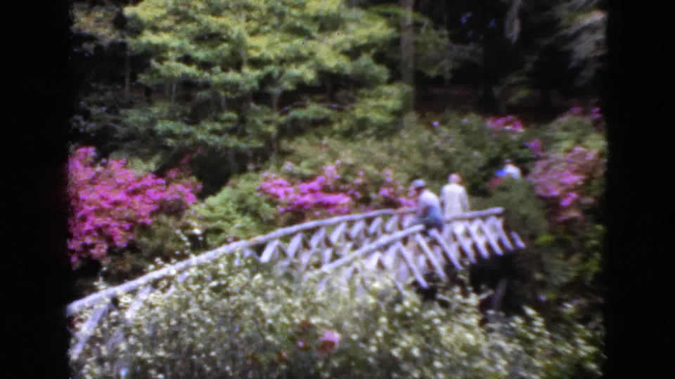 A Florida garden scene shows adult visitors on a rustic white bridge, framed by bright azaleas and thick green foliage.