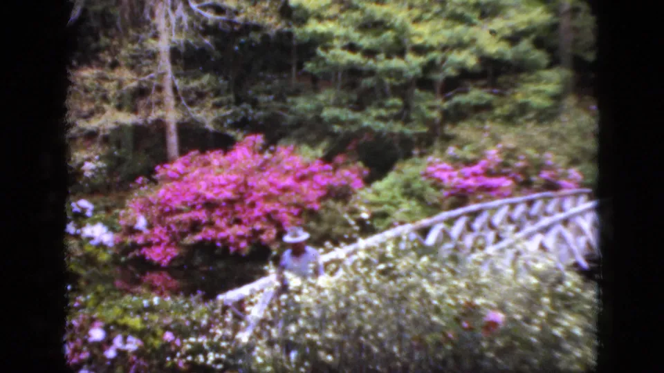 1952 Florida home-movie frame with a hatted visitor below a rustic bridge, surrounded by white flowers and pink shrubs.