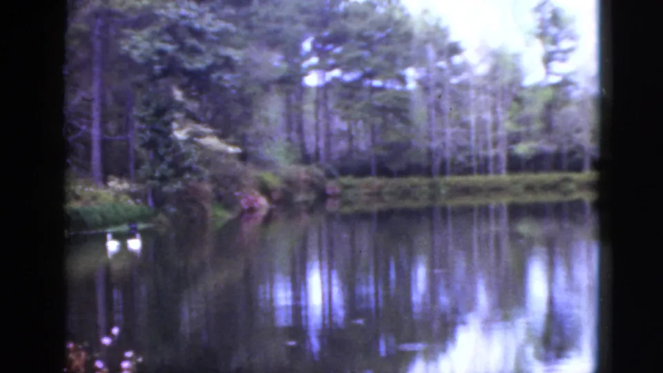 1952 Florida home-movie frame showing a quiet pond, reflected tree line, dense greenery, and small white water birds near the left bank.