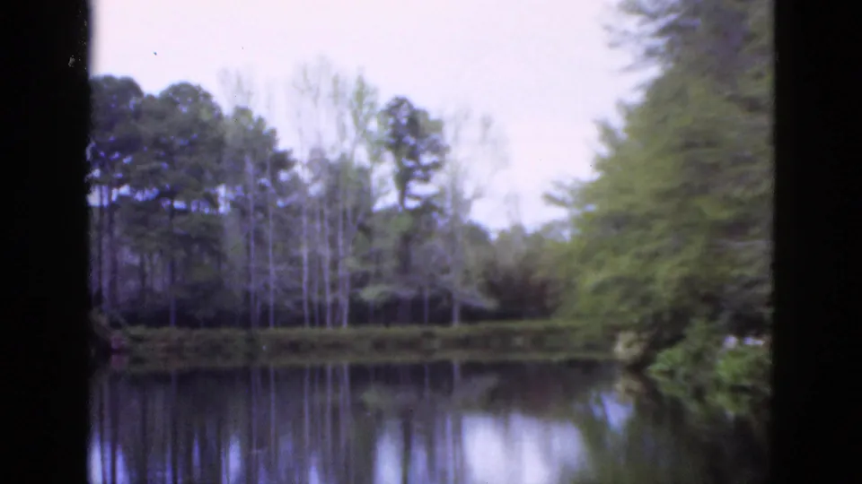 1952 Florida 8mm frame with a soft-focus view across pond water toward pine trees, bare trunks, shrubs, and pale sky.