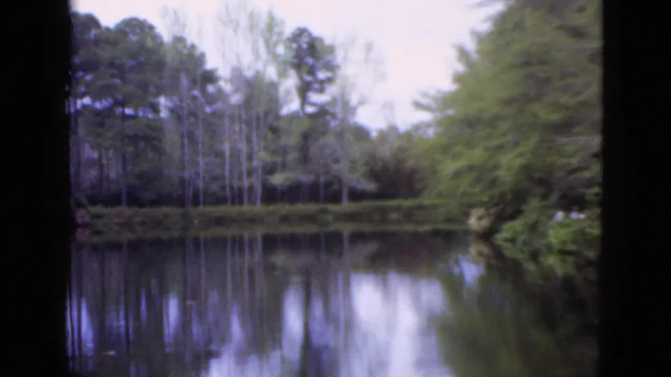 1952 Florida home-movie frame showing calm pond water, reflected trees, dense shoreline greenery, and a pale sky beyond the tree line.