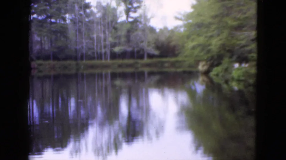 1952 Florida lakeside view with reflected trees, pale sky, and dark frame edges from the scanned 8mm source.
