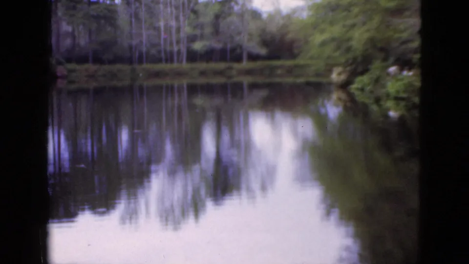 1952 Florida 8mm frame of a calm lake, dense greenery, and muted tree reflections in soft focus.