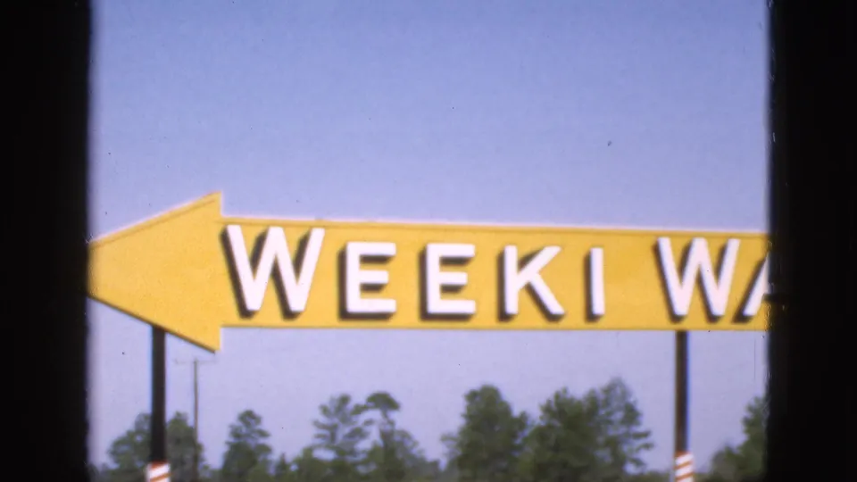 1950s Florida 8mm frame showing a yellow directional arrow sign with partial white letters reading "WEEKI WA" near trees and sky.