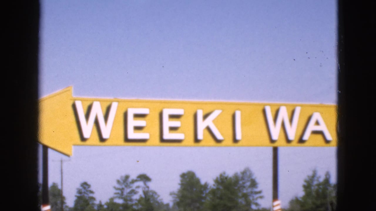 Yellow Weeki Wachee arrow sign partly framed by dark vertical edges against blue sky.