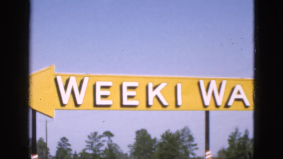 1952 Florida 8mm frame showing a yellow left-pointing Weeki Wachee directional sign with white letters, pine trees below, and dark window-like edges at the sides.