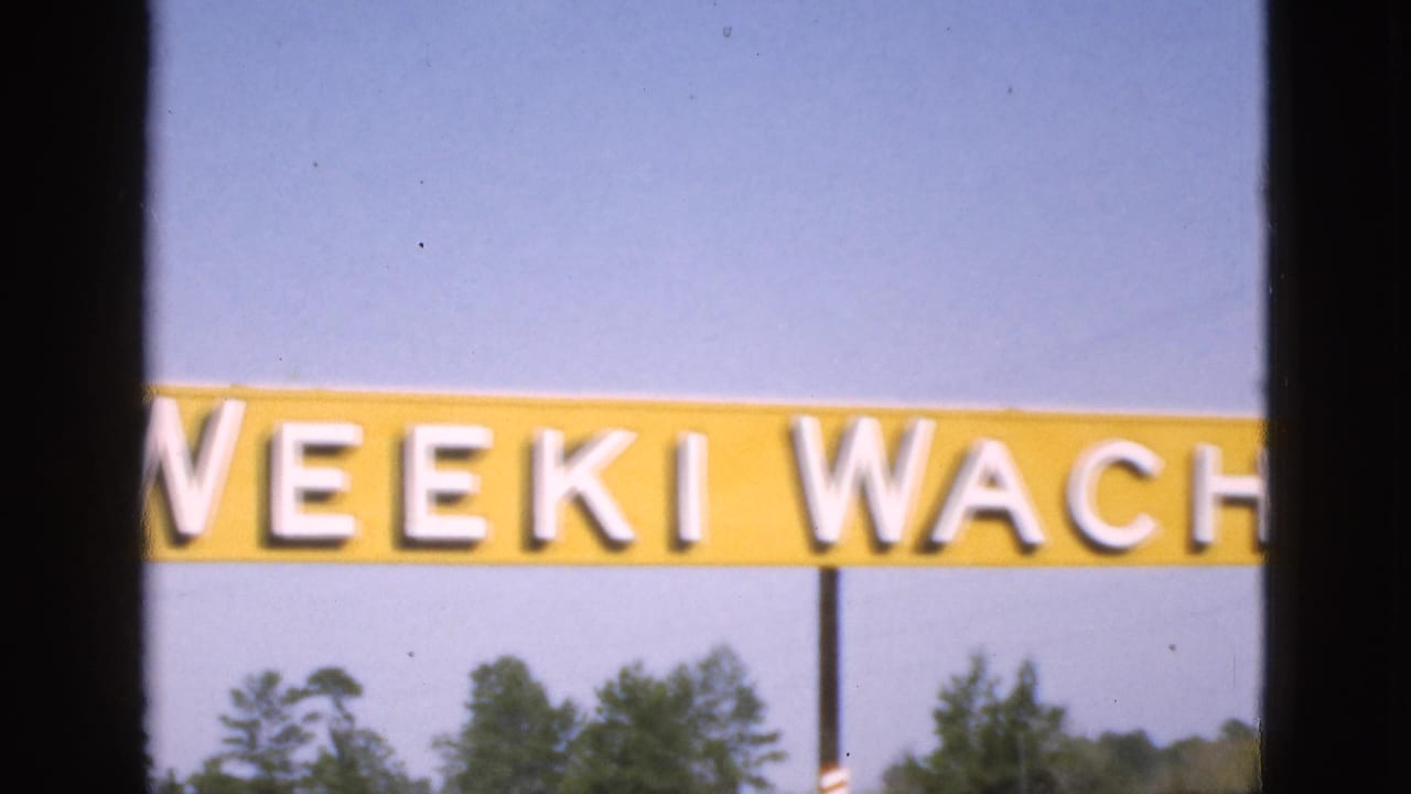 1952 Florida 8mm frame with the yellow Weeki Wachee roadside sign crossing the frame, partially blocked by a dark vertical obstruction, with sky and treetops behind it.