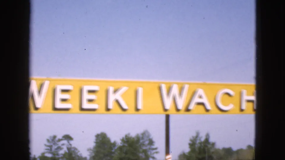 1952 Florida 8mm frame with the yellow Weeki Wachee roadside sign crossing the frame, partially blocked by a dark vertical obstruction, with sky and treetops behind it.