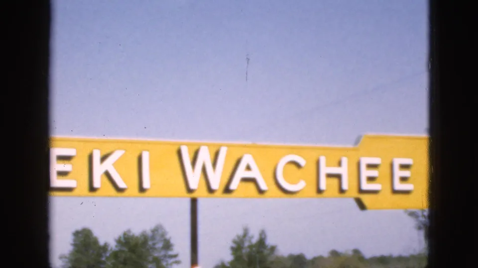 1952 Florida 8mm frame showing the yellow Weeki Wachee sign cropped low in the frame, with white lettering, a support pole, blue sky, and pine trees visible.