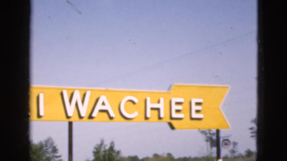 1952 Florida 8mm frame showing the right side of the yellow Weeki Wachee sign with white lettering, a notched arrow end, blue sky, and pine trees below.