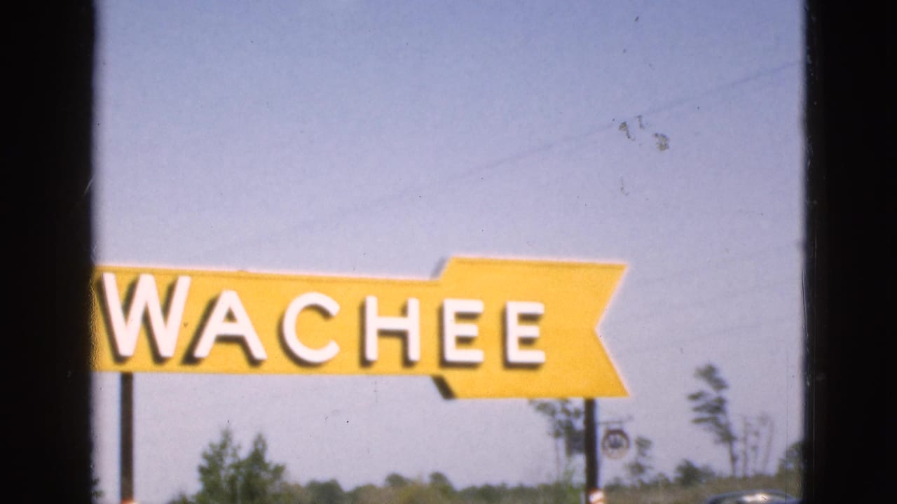 1952 Florida home-movie frame showing a cropped yellow WACHEE sign with sky, trees, and roadside details below.