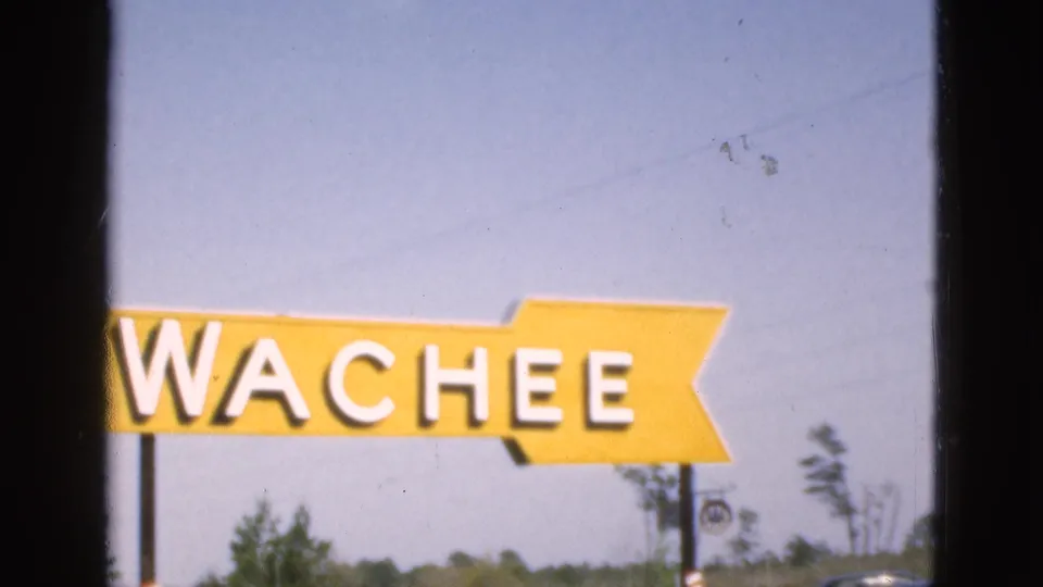 1952 Florida home-movie frame showing a cropped yellow WACHEE sign with sky, trees, and roadside details below.