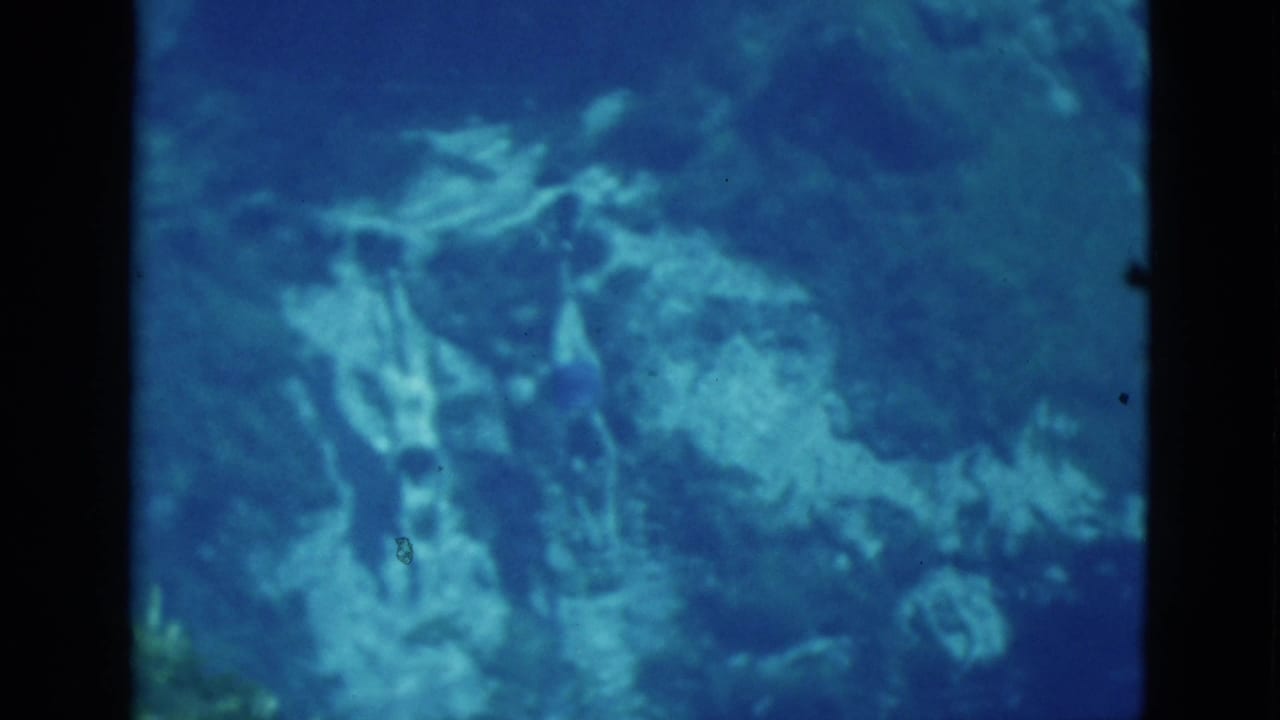 Underwater view of swimmers and fin shapes above a pale seabed in blue water.