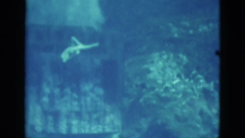 1952 Florida 8mm frame showing a person swimming underwater through blue-green water with soft grain and refraction.
