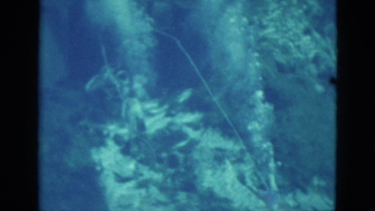 1952 Florida 8mm underwater frame with blue water, coral-like forms, a faint swimmer or sea-life shape, and film grain.
