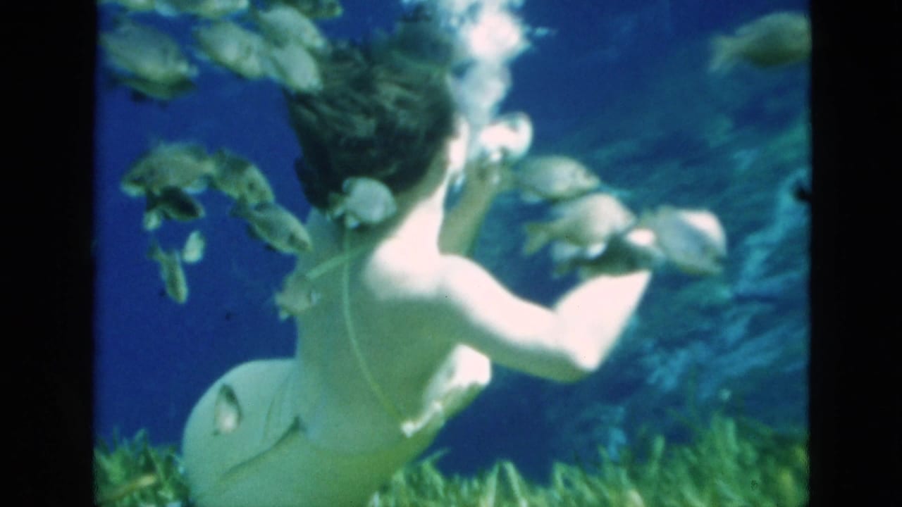 A rear view shows the woman swimming underwater in a light swimsuit, surrounded by fish and aquatic plants.