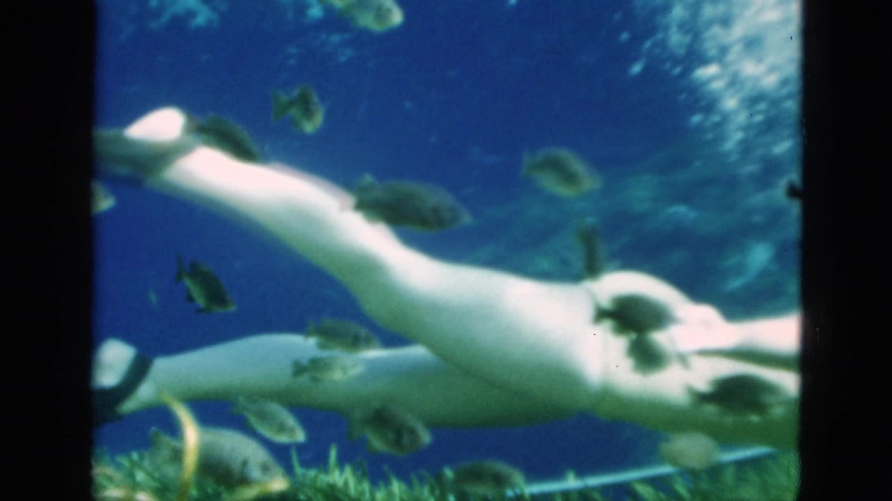 The swimmer extends her body through blue water while small fish and aquatic plants remain visible around her.