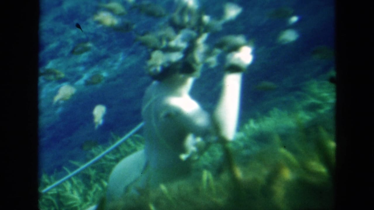 Underwater swimmer near plants with fish overhead.