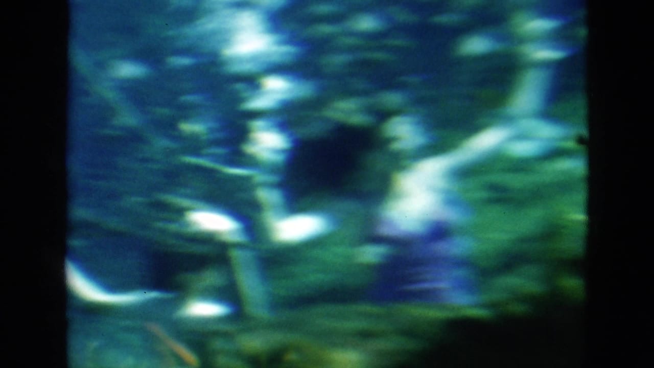Soft 1952 Florida 8mm frame of a swimmer underwater with fish and green aquatic plants in blue light.