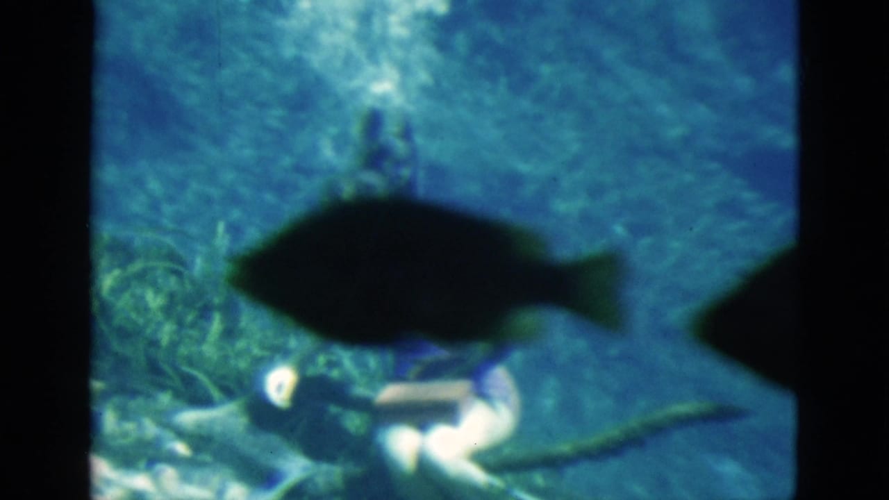Woman underwater near a dark fish silhouette, with bubbles and plants behind her.