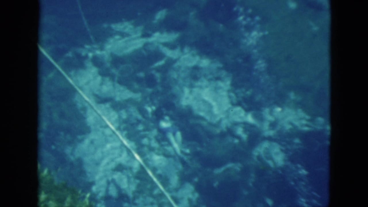 Underwater view of rocks and a diagonal light-colored line in blue-green water.