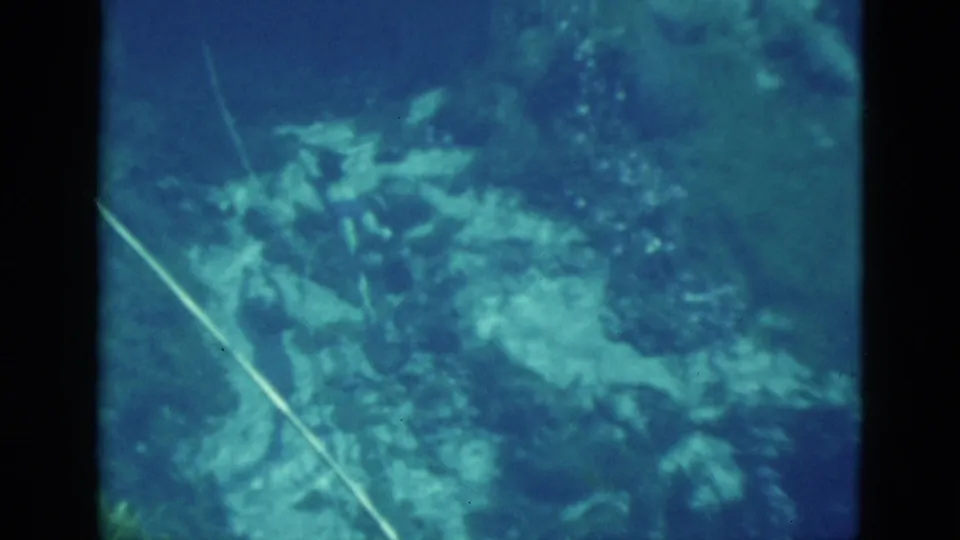 1952 Florida 8mm frame showing an underwater reef area with a visible hose line and blue-green home-movie color cast.