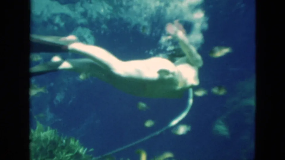 1952 Florida home-movie frame of a woman with fins swimming underwater near small fish, with an air hose trailing below her.