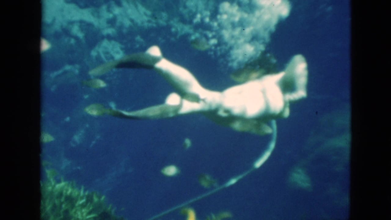 Female diver with long fins swims underwater above reef and sea grass.